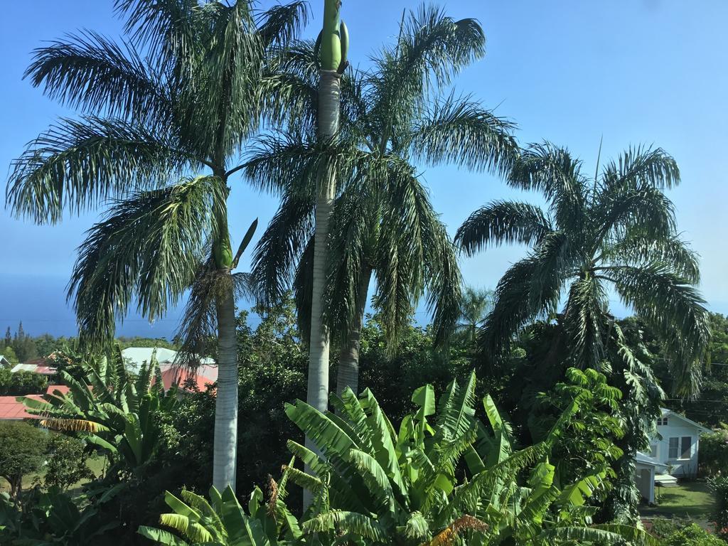 Hotel Honokaa Ngoại thất bức ảnh